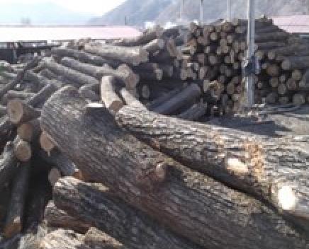 木材储备